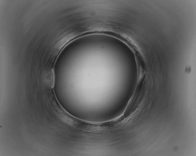 X0000091581273200708201159