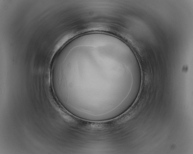 X0000091581274200708201159