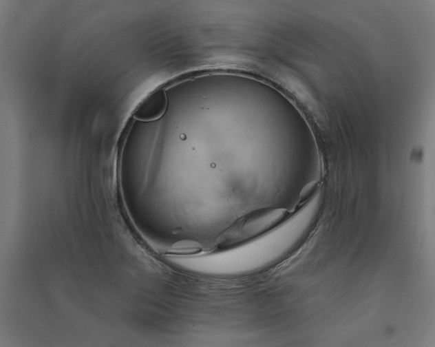 X0000091581275200708201159