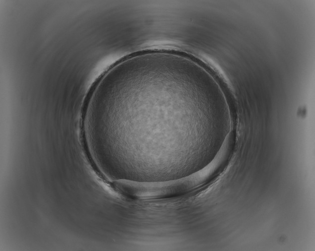 X0000091581277200708201159