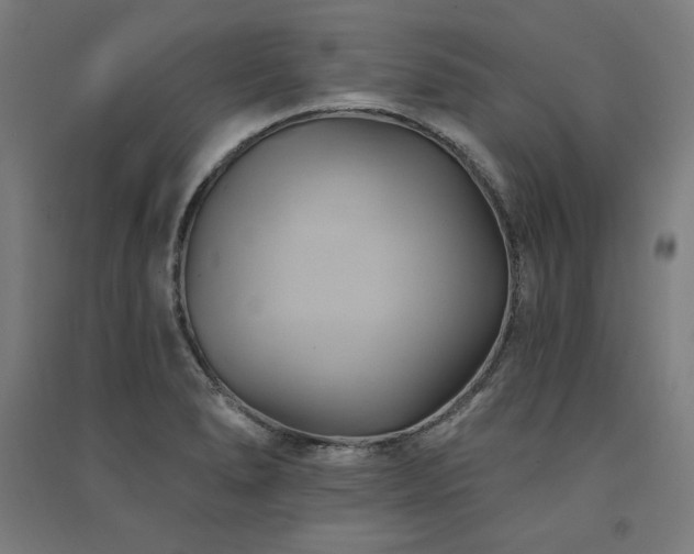 X0000091581278200708201159