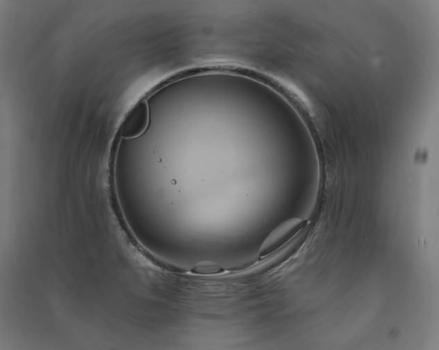 X0000091581279200708201159