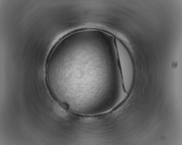 X0000091581280200708201159