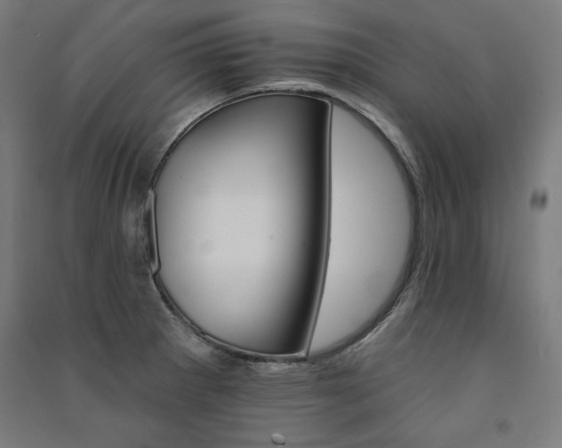 X0000091581281200708201159