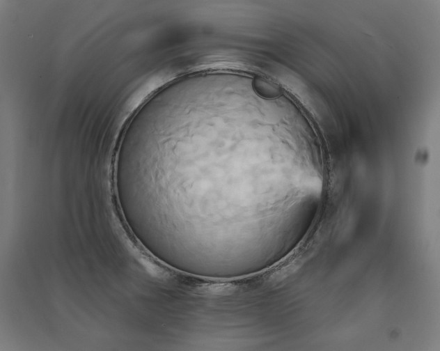 X0000091581282200708201159