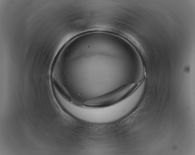 X0000091581283200708201159