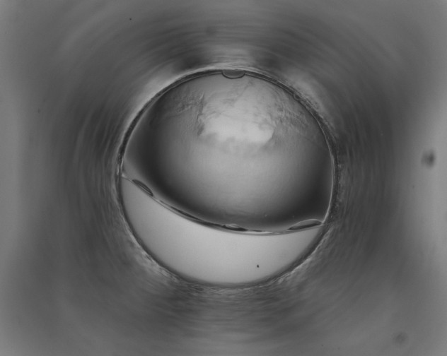 X0000091581284200708201159