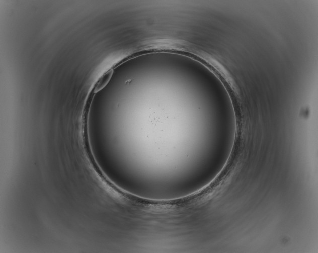 X0000091581285200708201159