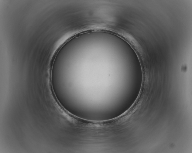 X0000091581286200708201159