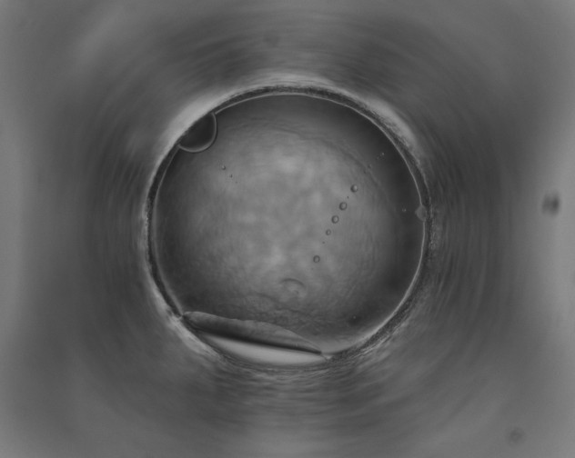 X0000091581287200708201159
