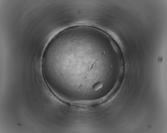 X0000091581288200708201159