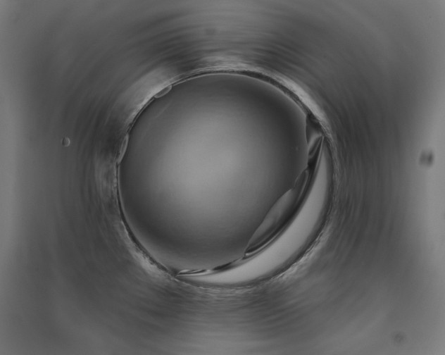 X0000091581289200708201159