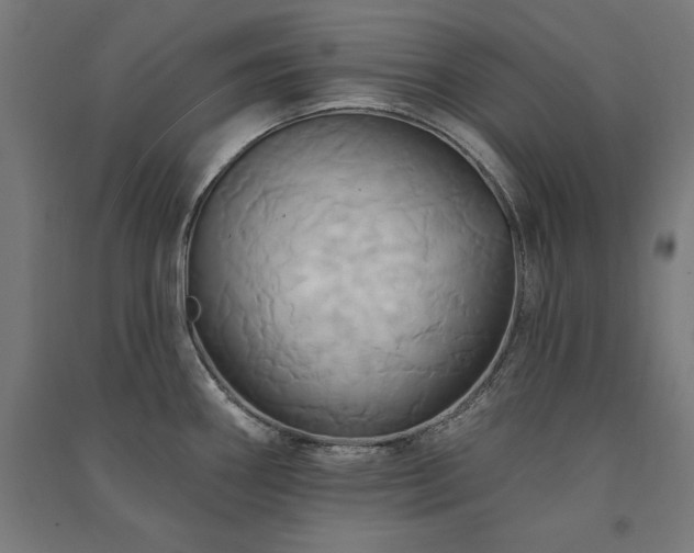 X0000091581290200708201159