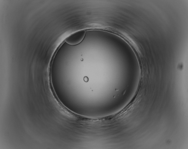 X0000091581291200708201159