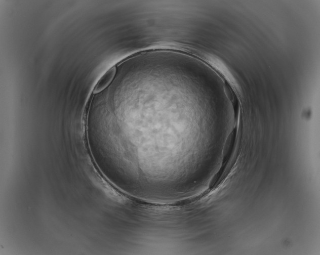 X0000091581292200708201159