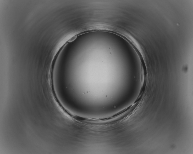 X0000091581293200708201159