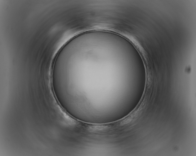 X0000091581294200708201159