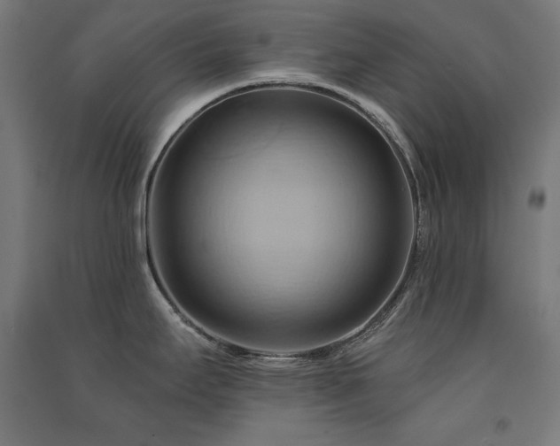 X0000091581295200708201159