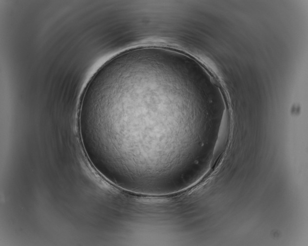 X0000091581296200708201159