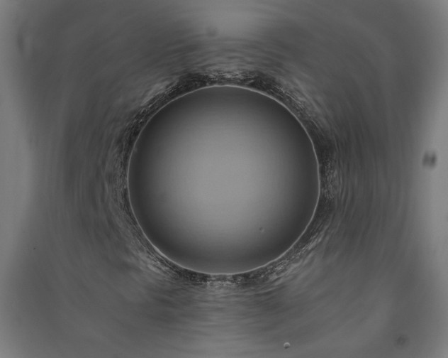 X0000091581297200708201158