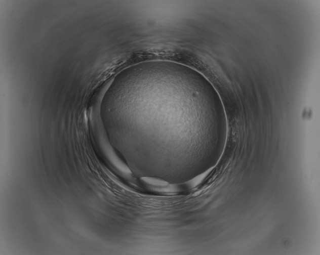 X0000091581298200708201158