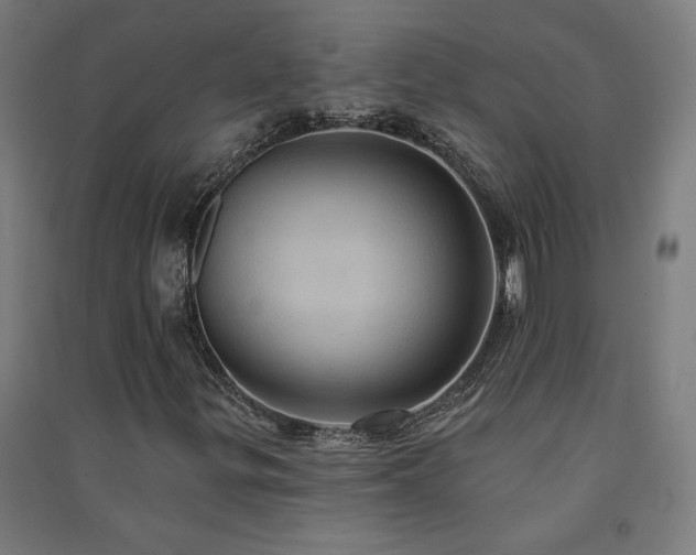 X0000091581299200708201158