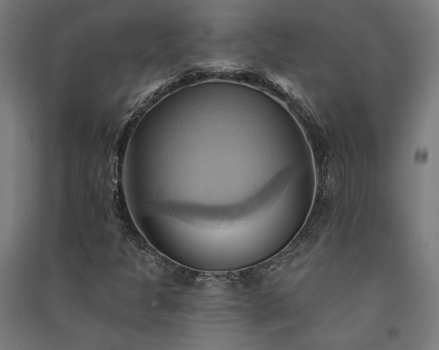X0000091581301200708201158