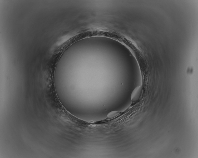 X0000091581303200708201159