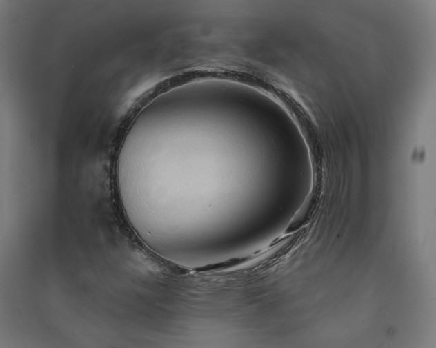 X0000091581304200708201159