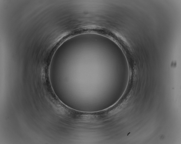 X0000091581305200708201159