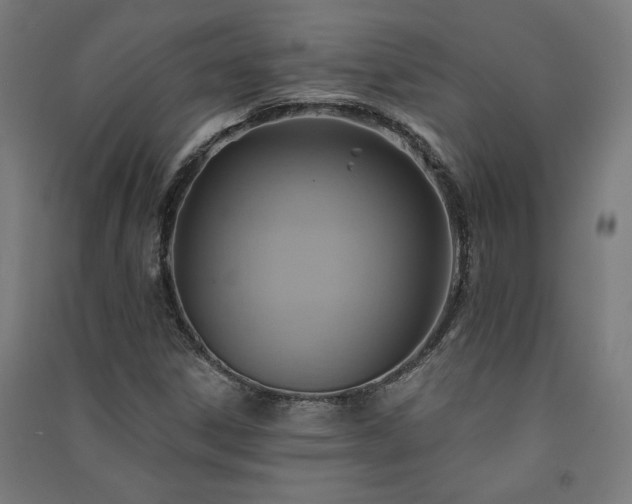 X0000091581306200708201159
