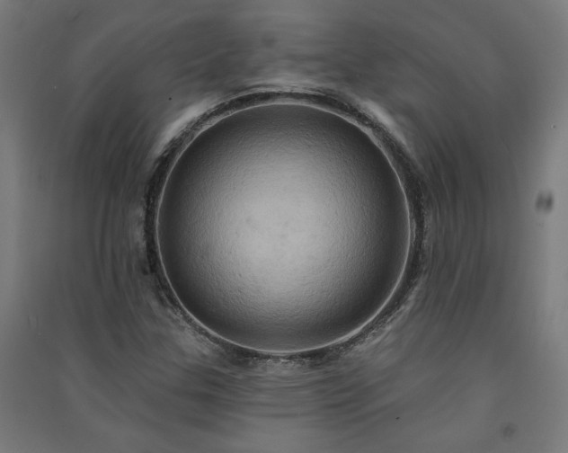X0000091581307200708201159