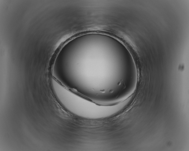 X0000091581308200708201159