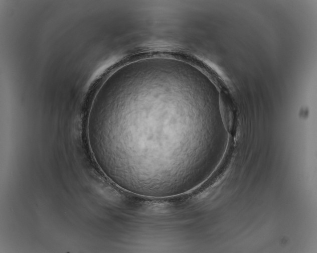 X0000091581309200708201159