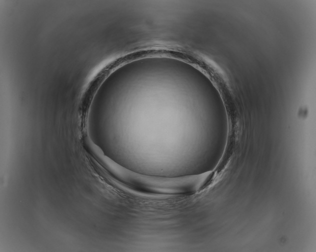 X0000091581310200708201159