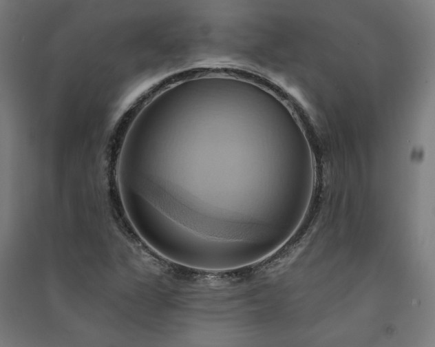 X0000091581311200708201159