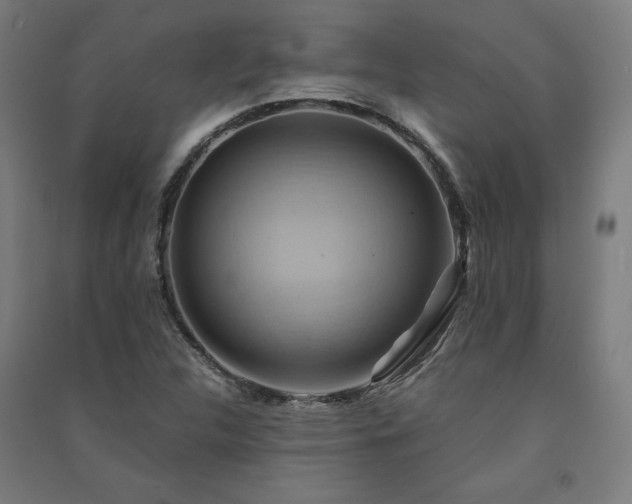 X0000091581312200708201159