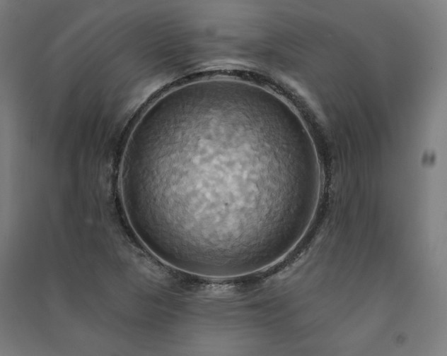X0000091581313200708201159