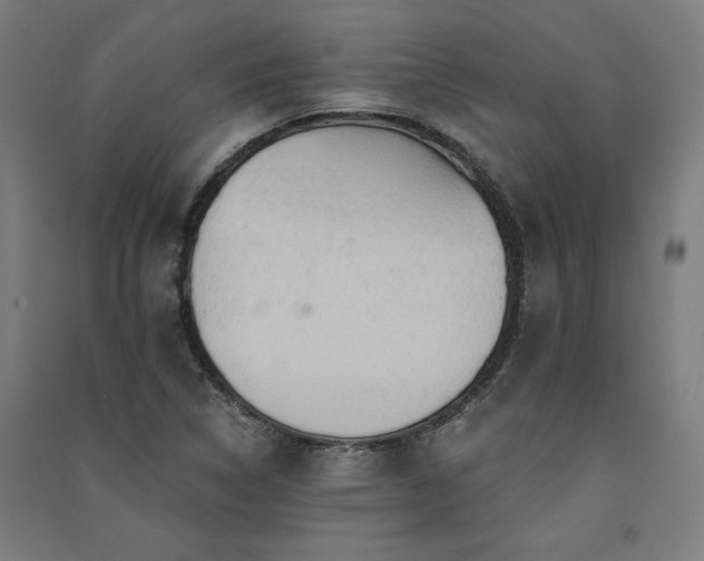 X0000091581314200708201159