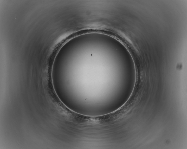 X0000091581315200708201159