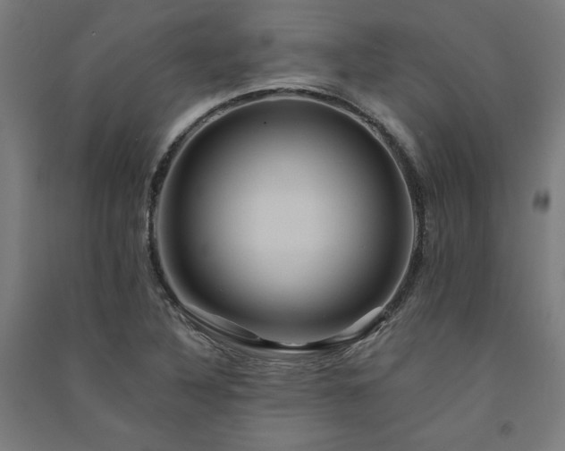 X0000091581316200708201159