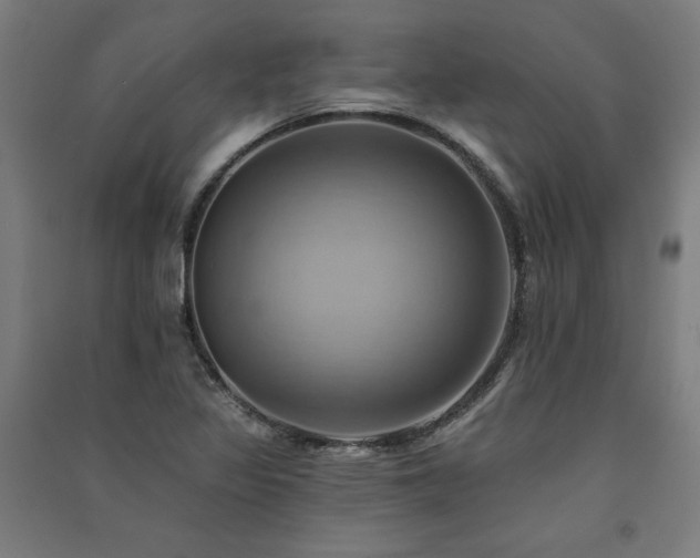 X0000091581317200708201159