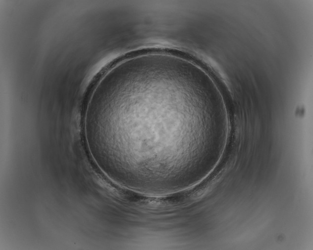 X0000091581318200708201159