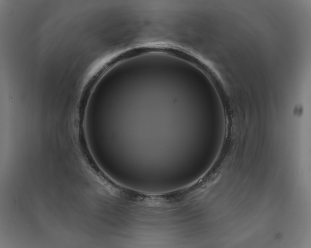 X0000091581319200708201159
