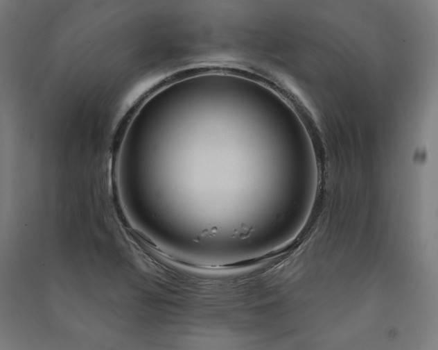 X0000091581320200708201159