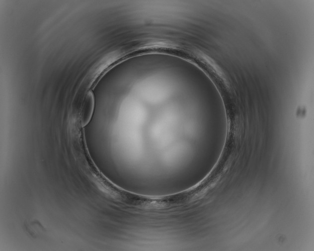 X0000091581321200708201159
