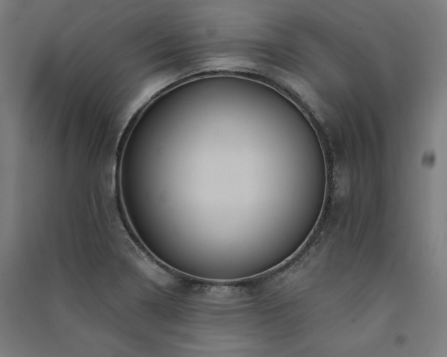 X0000091581322200708201159