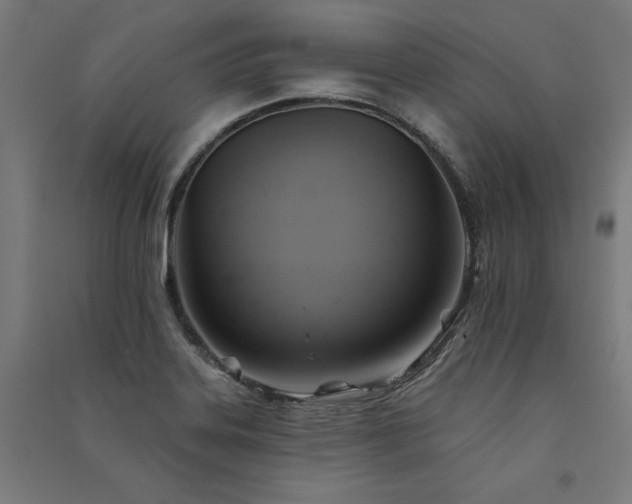 X0000091581323200708201159