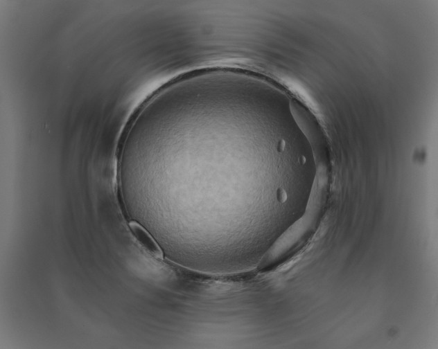 X0000091581324200708201159