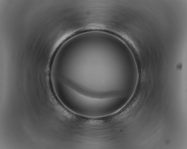 X0000091581325200708201159